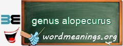 WordMeaning blackboard for genus alopecurus